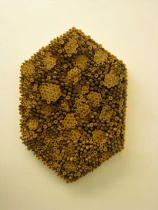 Christina Quisumbing, "Honeycomb"