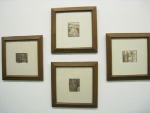 Grouping of Julius Clar photograms